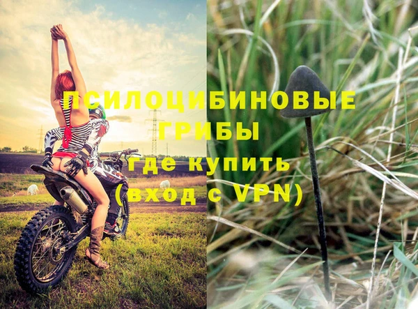 PSILOCYBIN Магадан