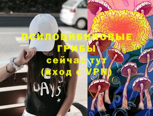 мескалин Майский