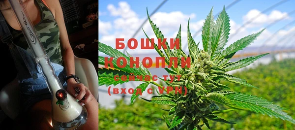 не бодяженный Магас